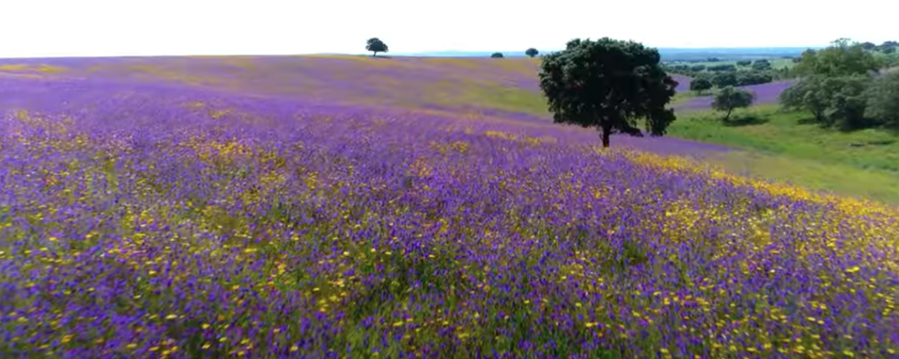 Extremadura