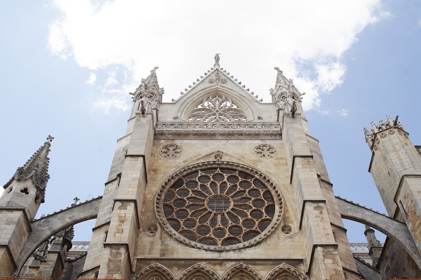 León
